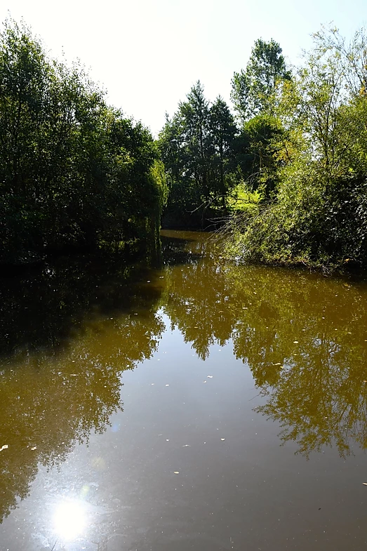 image of chorley springs