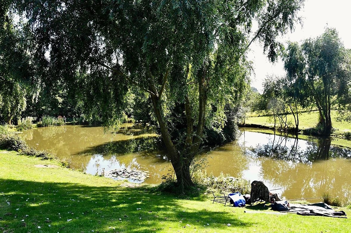 image of chorley springs