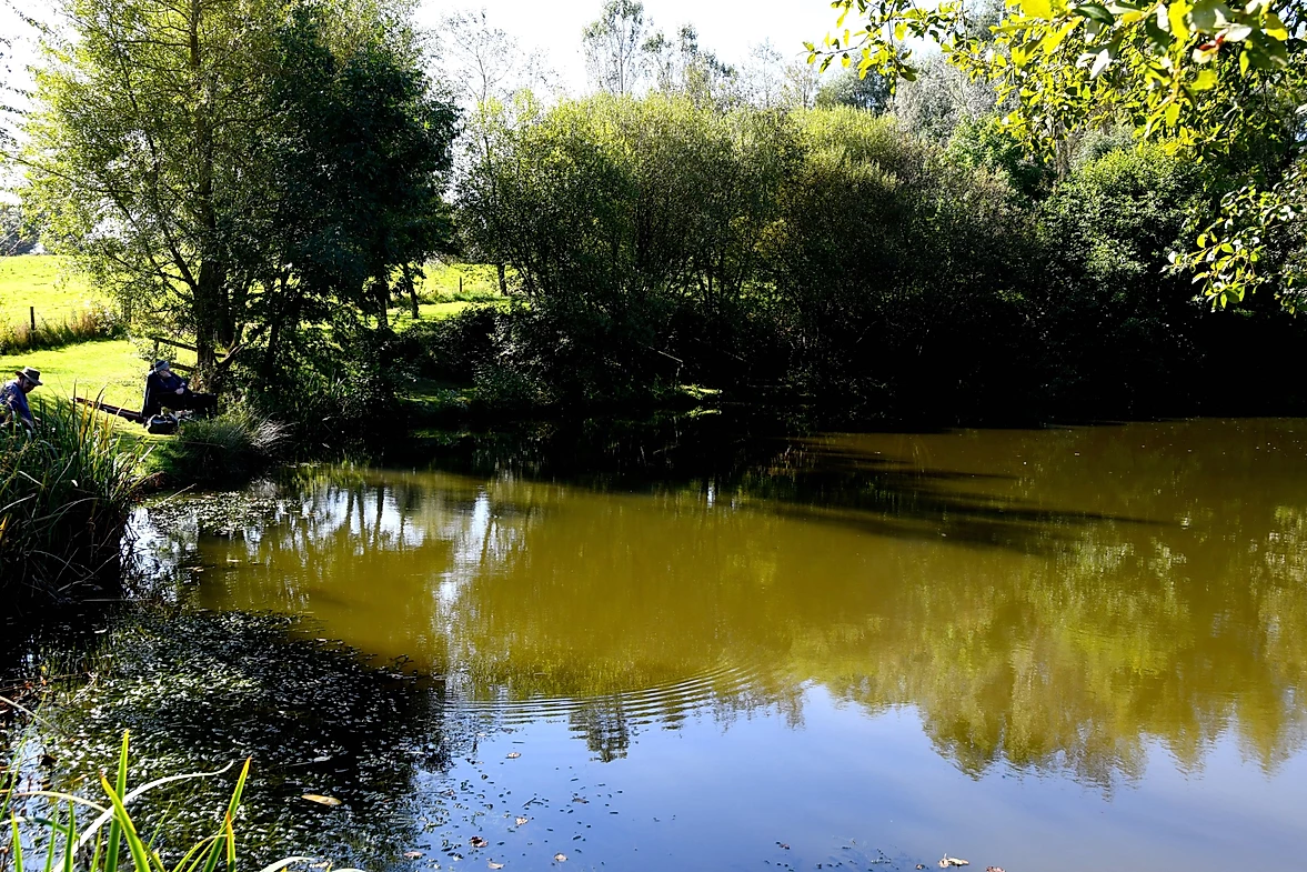 image of chorley springs
