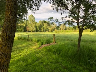 image of chorley springs