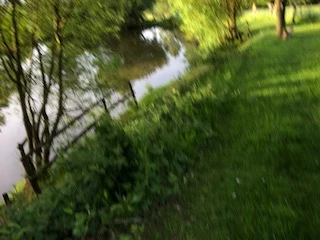 image of chorley springs