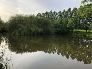 image of chorley springs