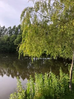 image of chorley springs