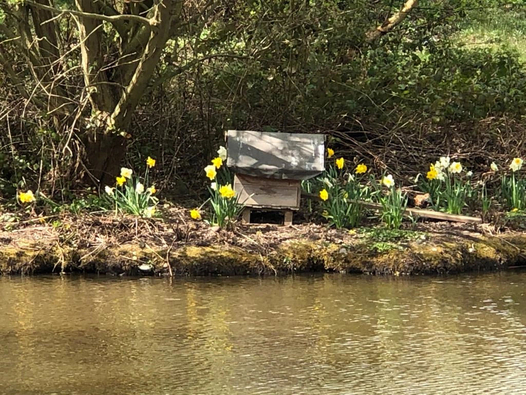 image of chorley springs