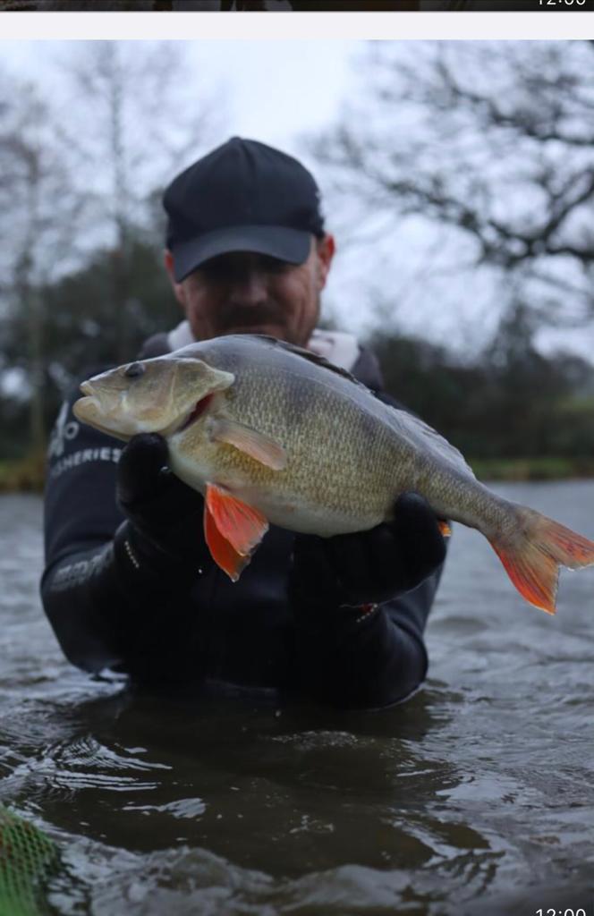 Catch @ Chorley Springs