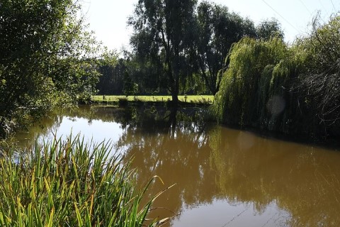 image of chorley springs