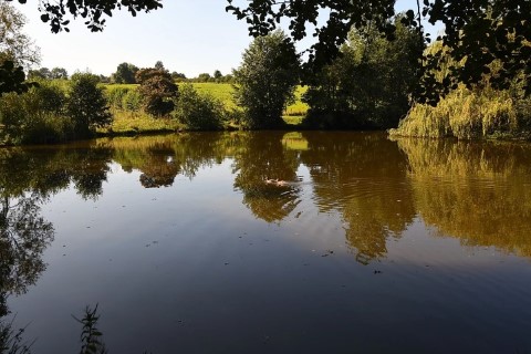 image of chorley springs