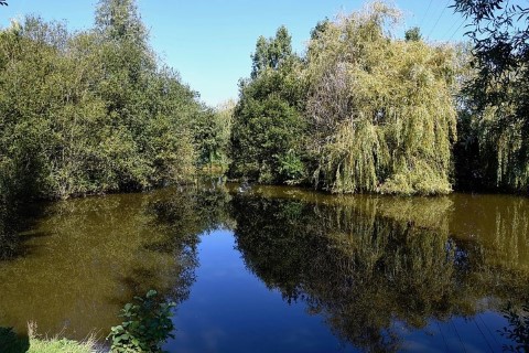 image of chorley springs