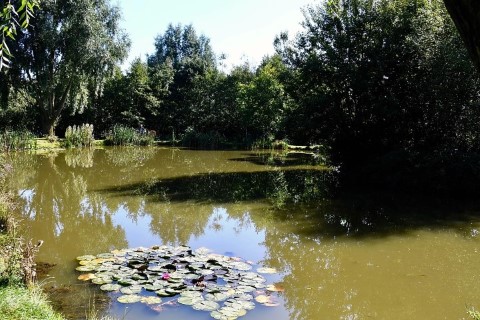 image of chorley springs