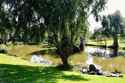 image of chorley springs