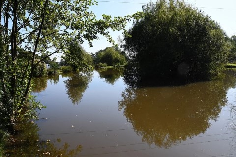 image of chorley springs