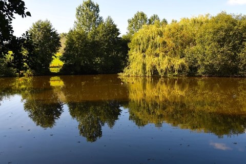 image of chorley springs