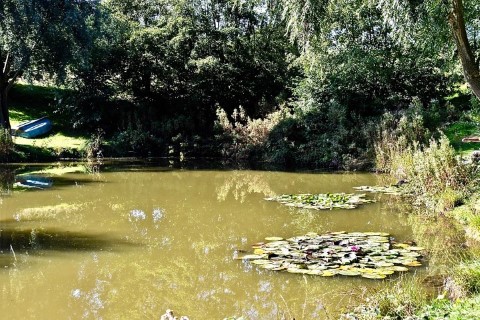 image of chorley springs