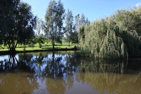 image of chorley springs