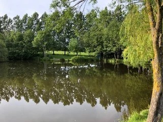 image of chorley springs