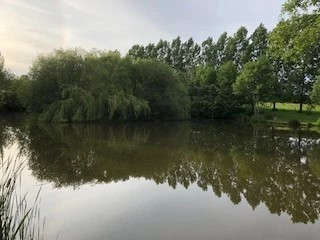 image of chorley springs