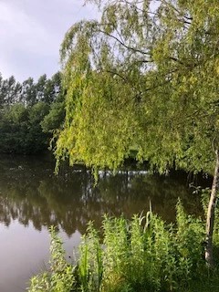 image of chorley springs