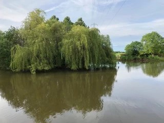 image of chorley springs