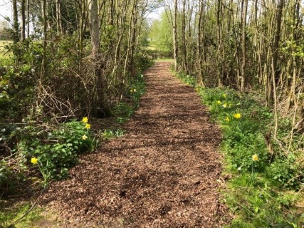 image of chorley springs