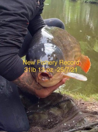 RECORD Catch 25/07/2021 @ ChorleySprings